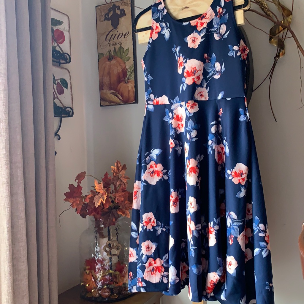 Brand AG Agelou Dress